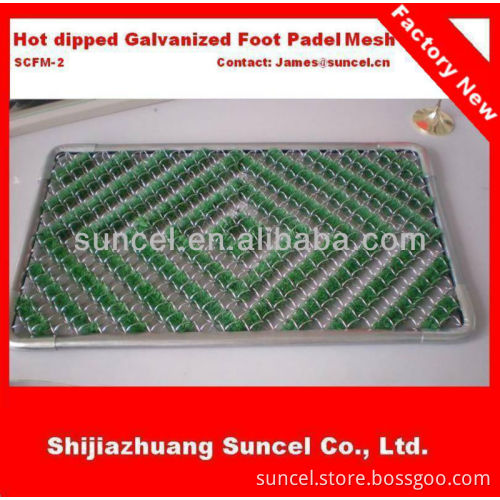 shoes cleaning mesh